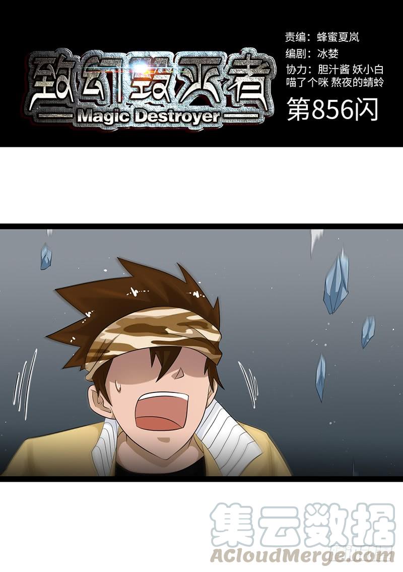 《致幻毁灭者》856 第1页