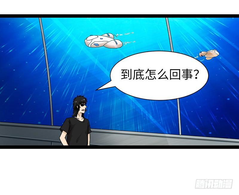 《致幻毁灭者》867 第8页