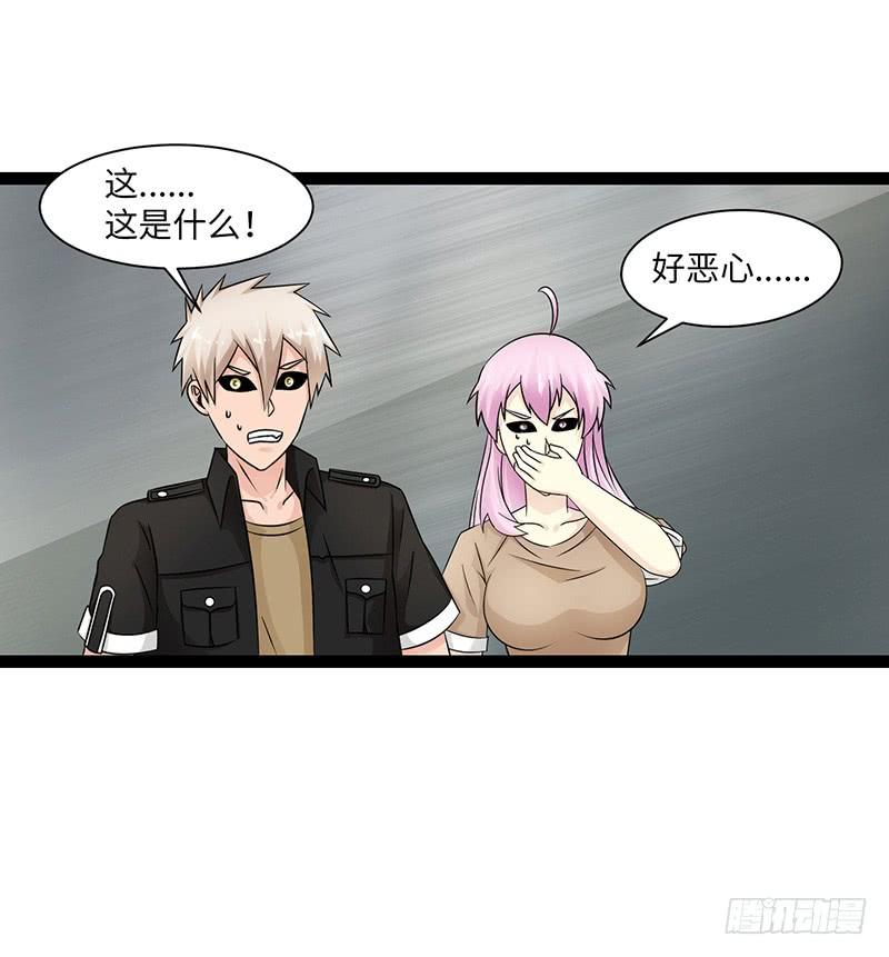 《致幻毁灭者》868 第5页