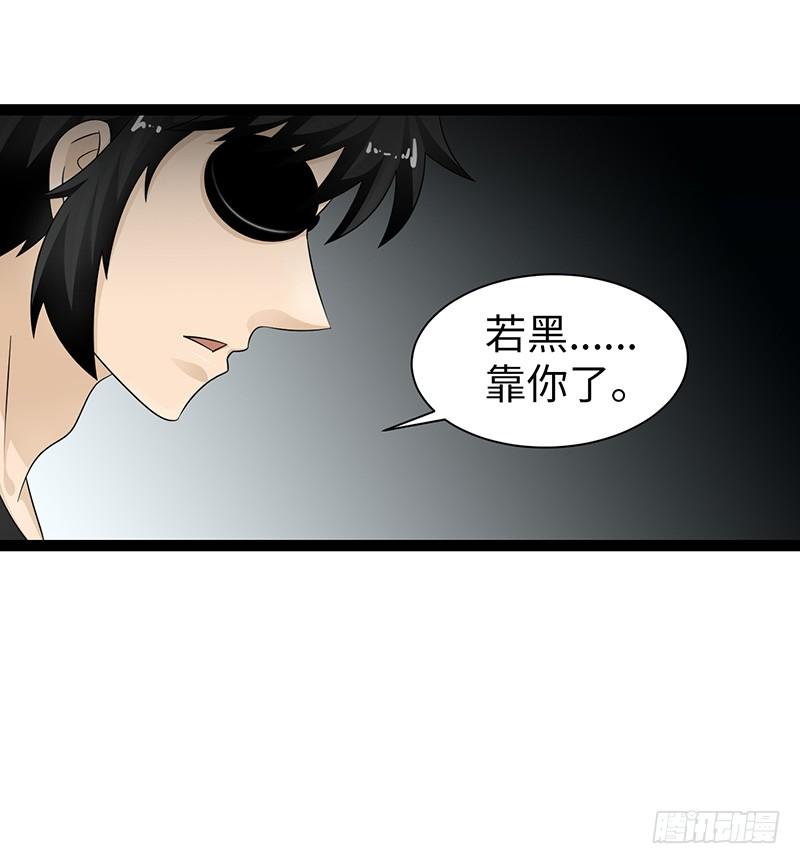 《致幻毁灭者》870 第5页