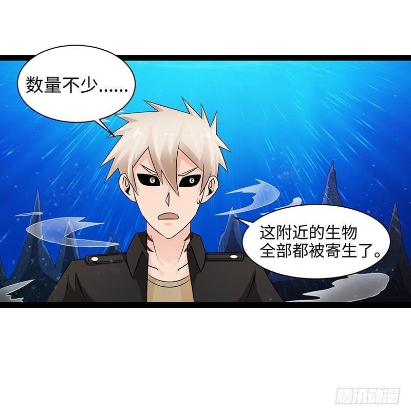 《致幻毁灭者》871 第3页