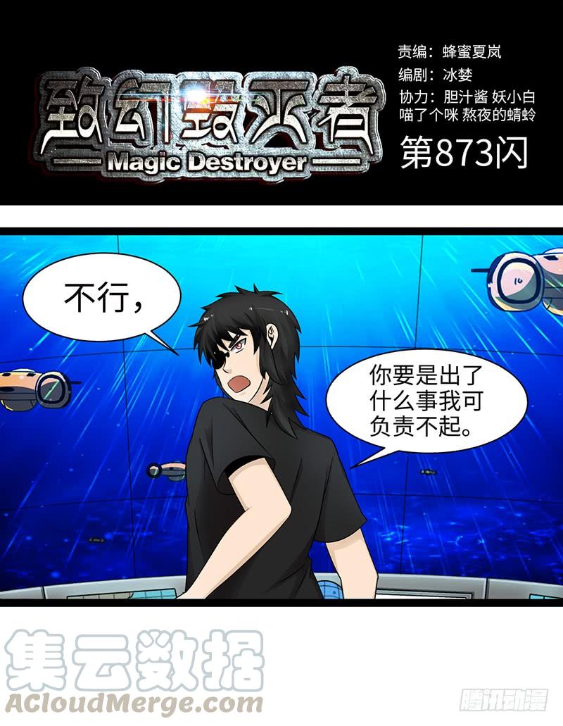 《致幻毁灭者》873 第1页