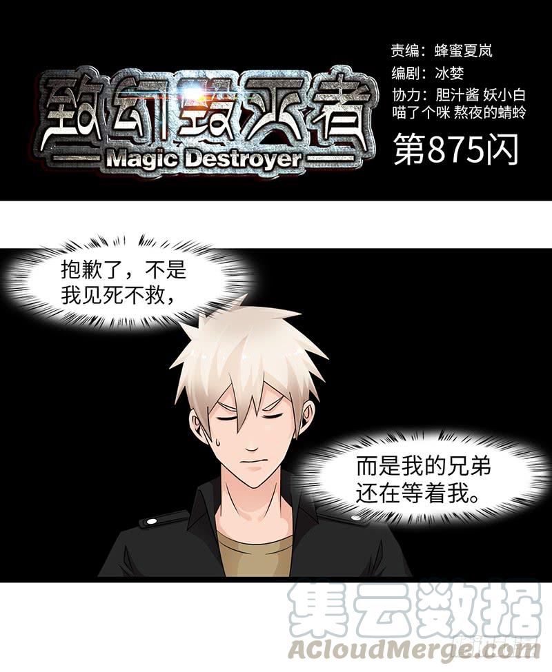 《致幻毁灭者》875 第1页