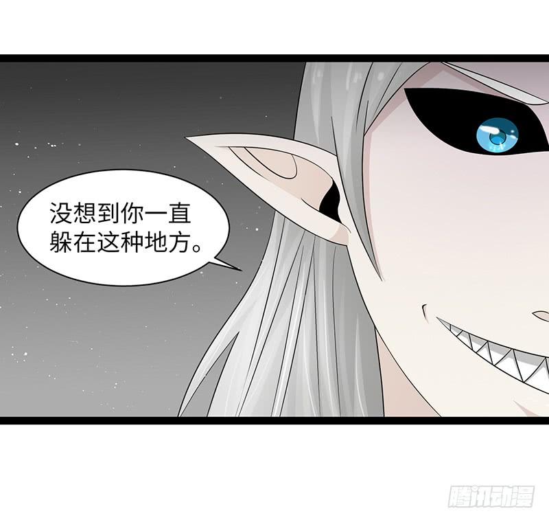 《致幻毁灭者》884 第5页