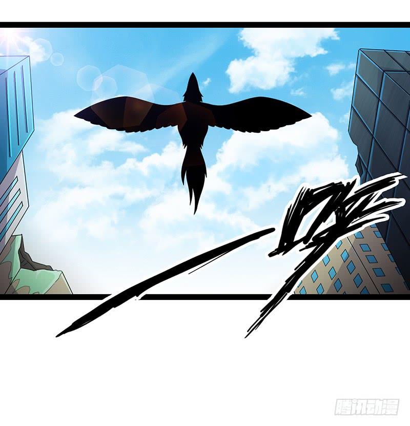 《致幻毁灭者》909 第6页