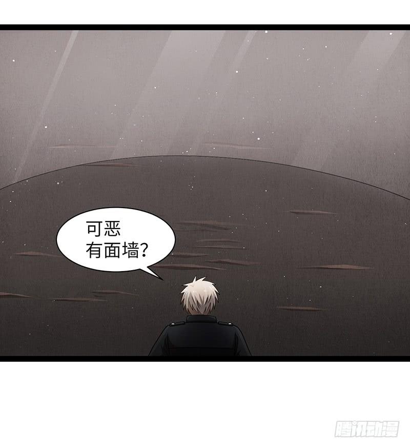 《致幻毁灭者》923 第9页