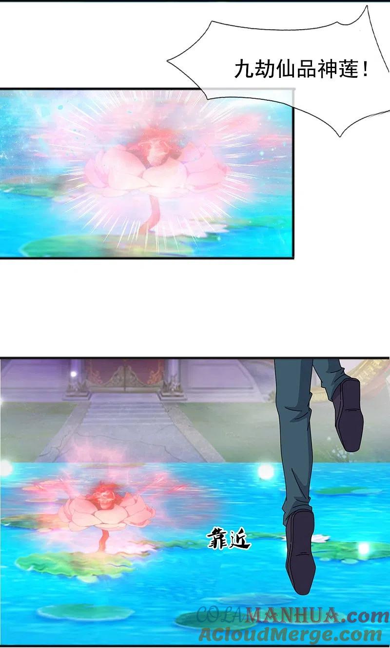 11.jpg