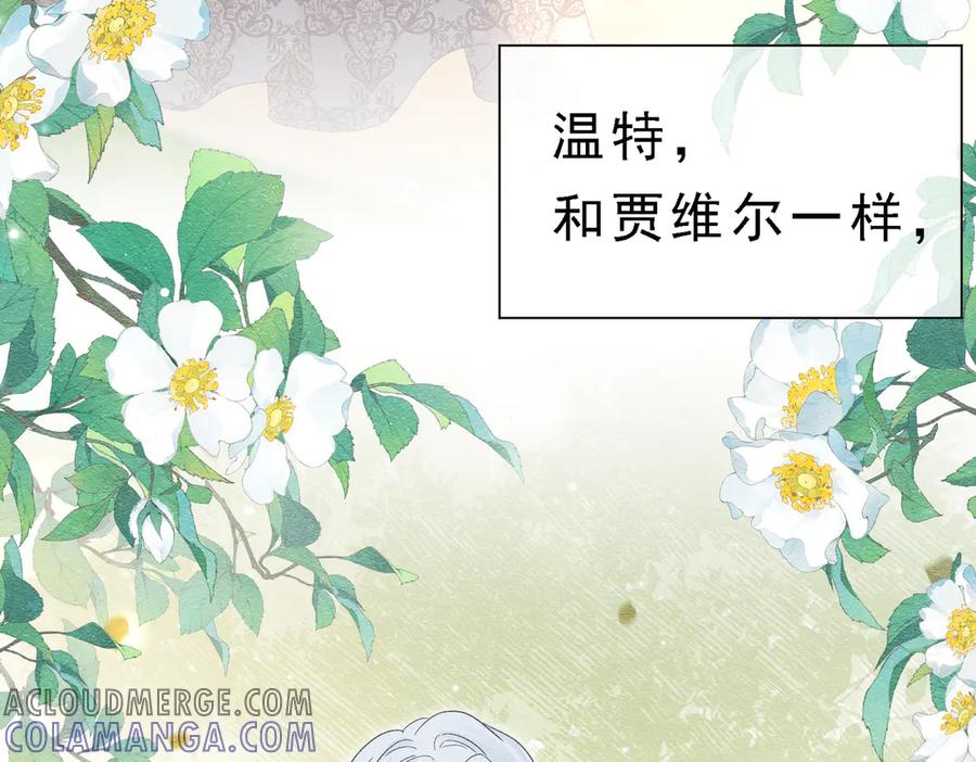 《被主教大人宠爱的日子》39 玛佩尔的新选择 第53页