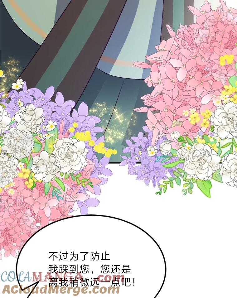 公爵夫人的秘密执笔 33.近一点的舞蹈 第73页