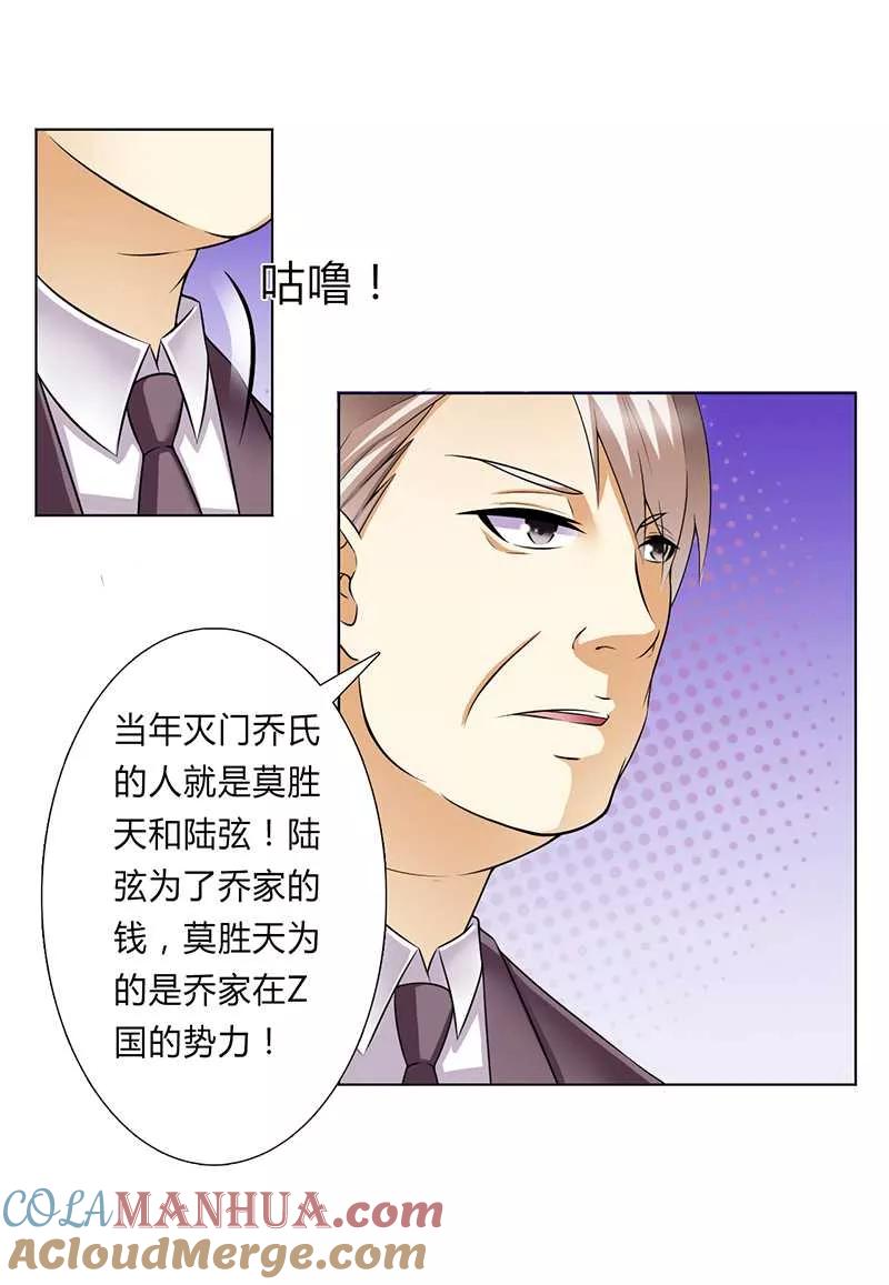 《致命宠妻：总裁纳命来！》第47话 陆氏的前后身世 第9页