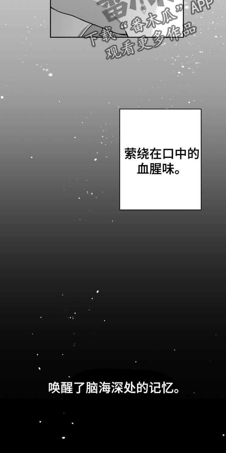 《狂乱欺压》第20章：三个命令 第2页