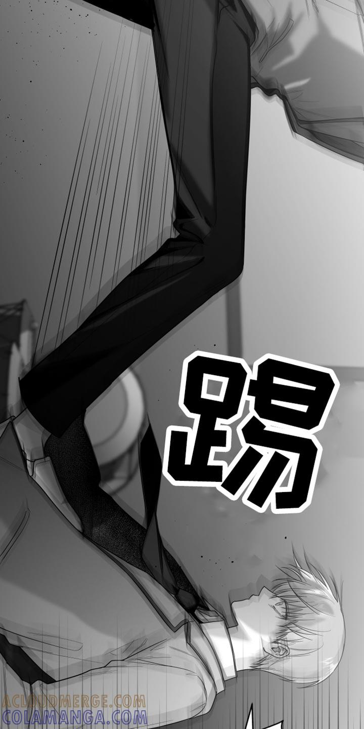 《狂乱欺压》第20章：三个命令 第11页