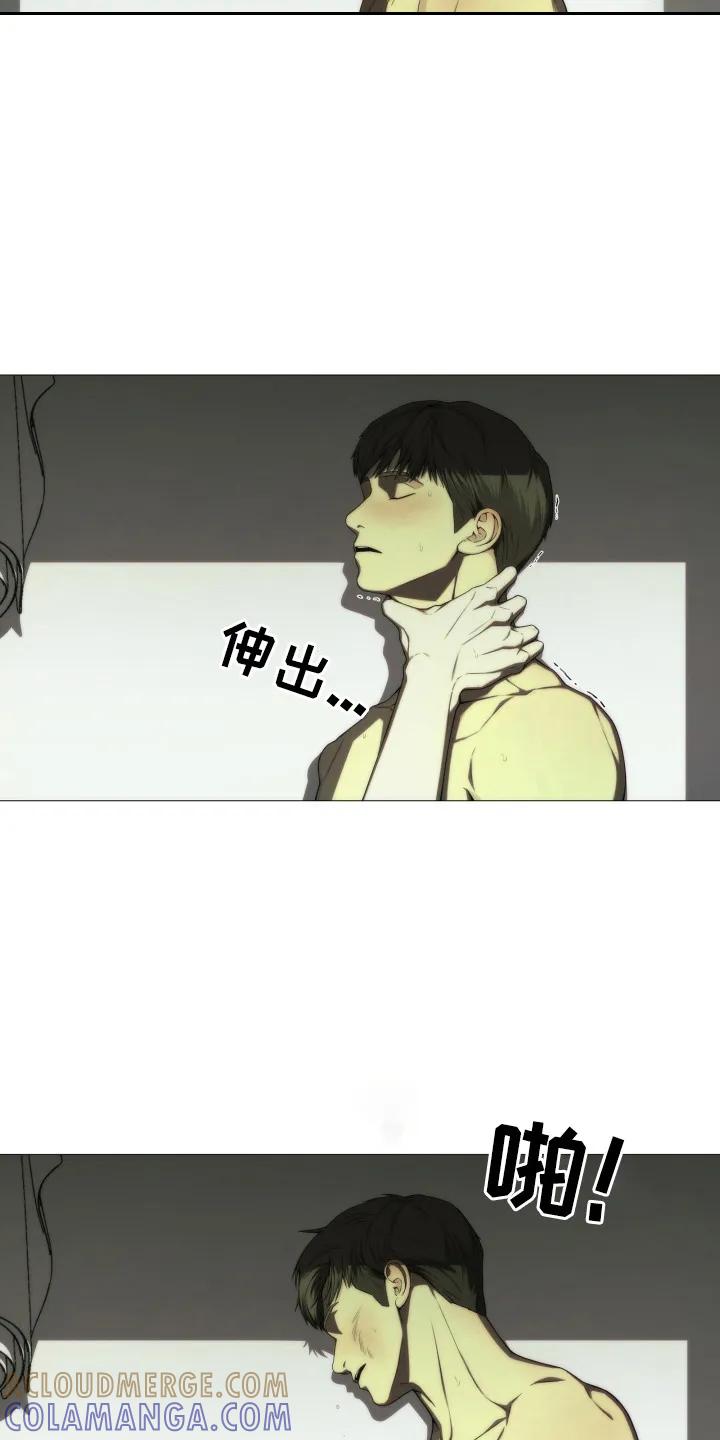 《致命诱饵》第1章：连环杀人案 第3页