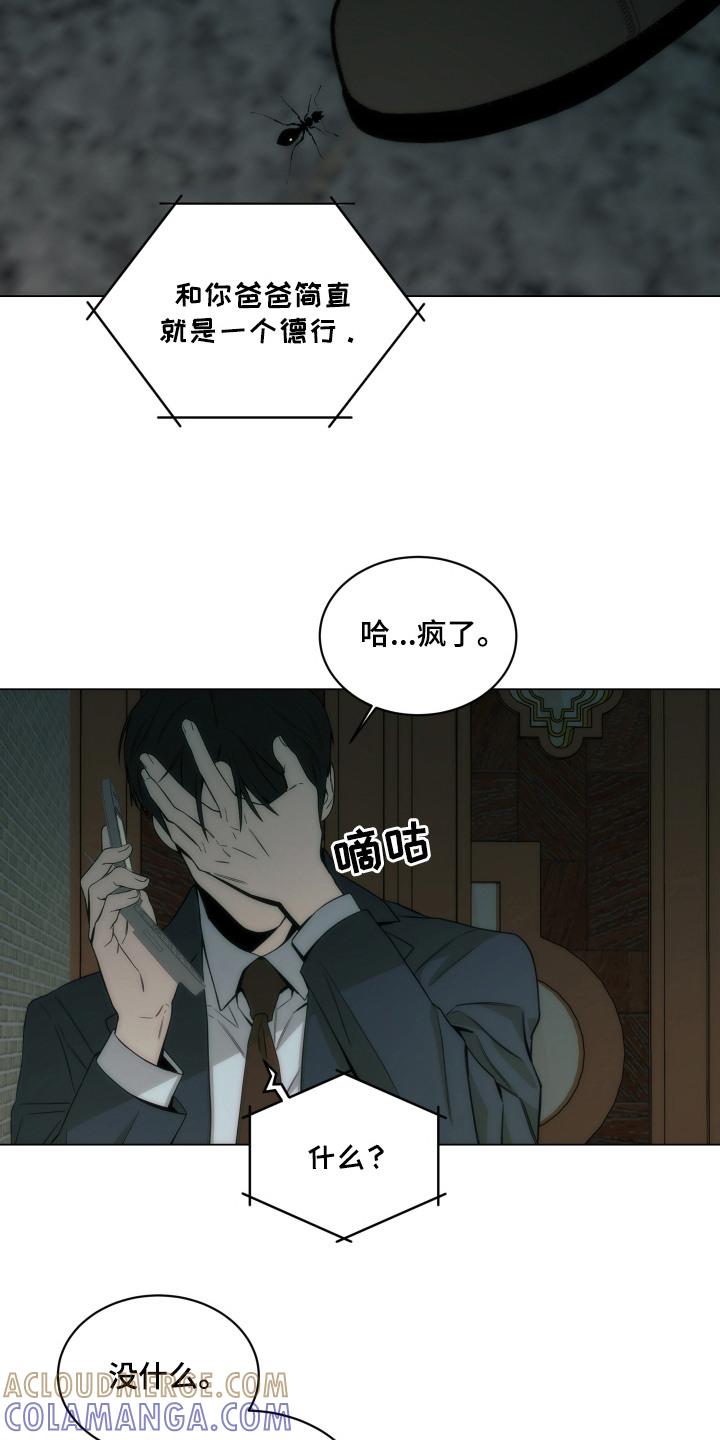 《致命诱饵》第11章：白眼狼 第15页