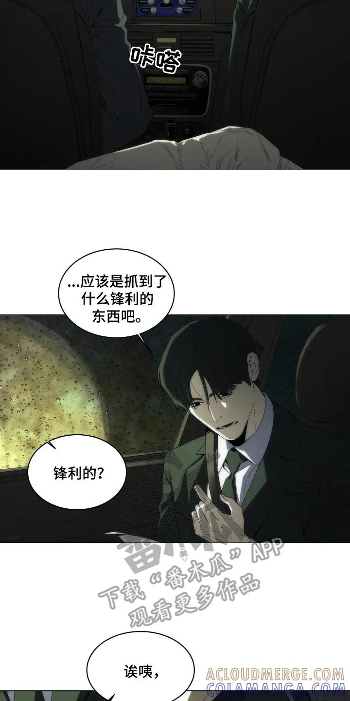 《致命诱饵》第3章：小伤口 第13页