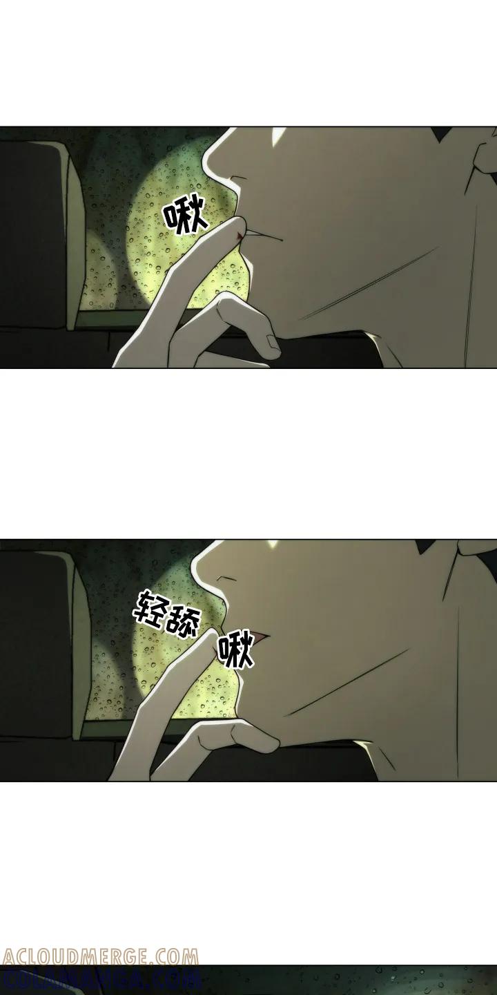 《致命诱饵》第3章：小伤口 第15页