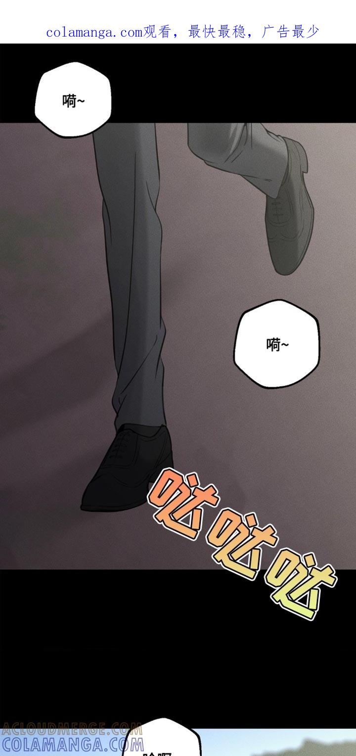 《纯白的假象》第56章：到现在你还恨我 第1页