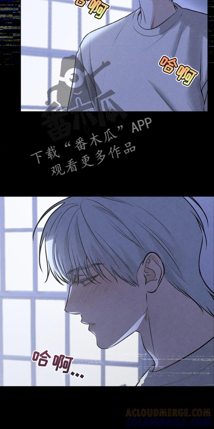 《纯白的假象》第57章：我依然在怪你 第5页