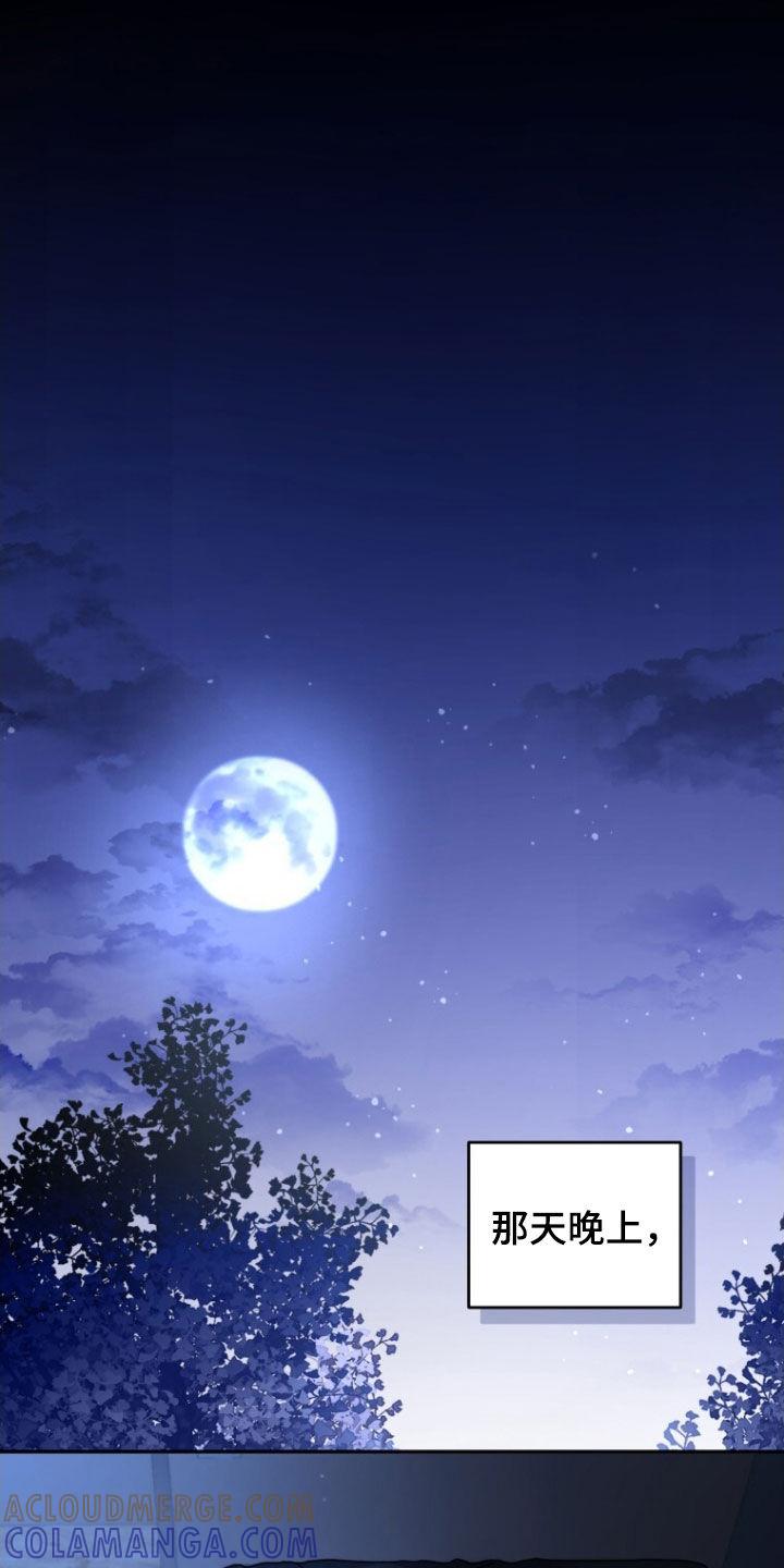 《追逐繁星》第77章：【第二季】熟悉的梦 第29页