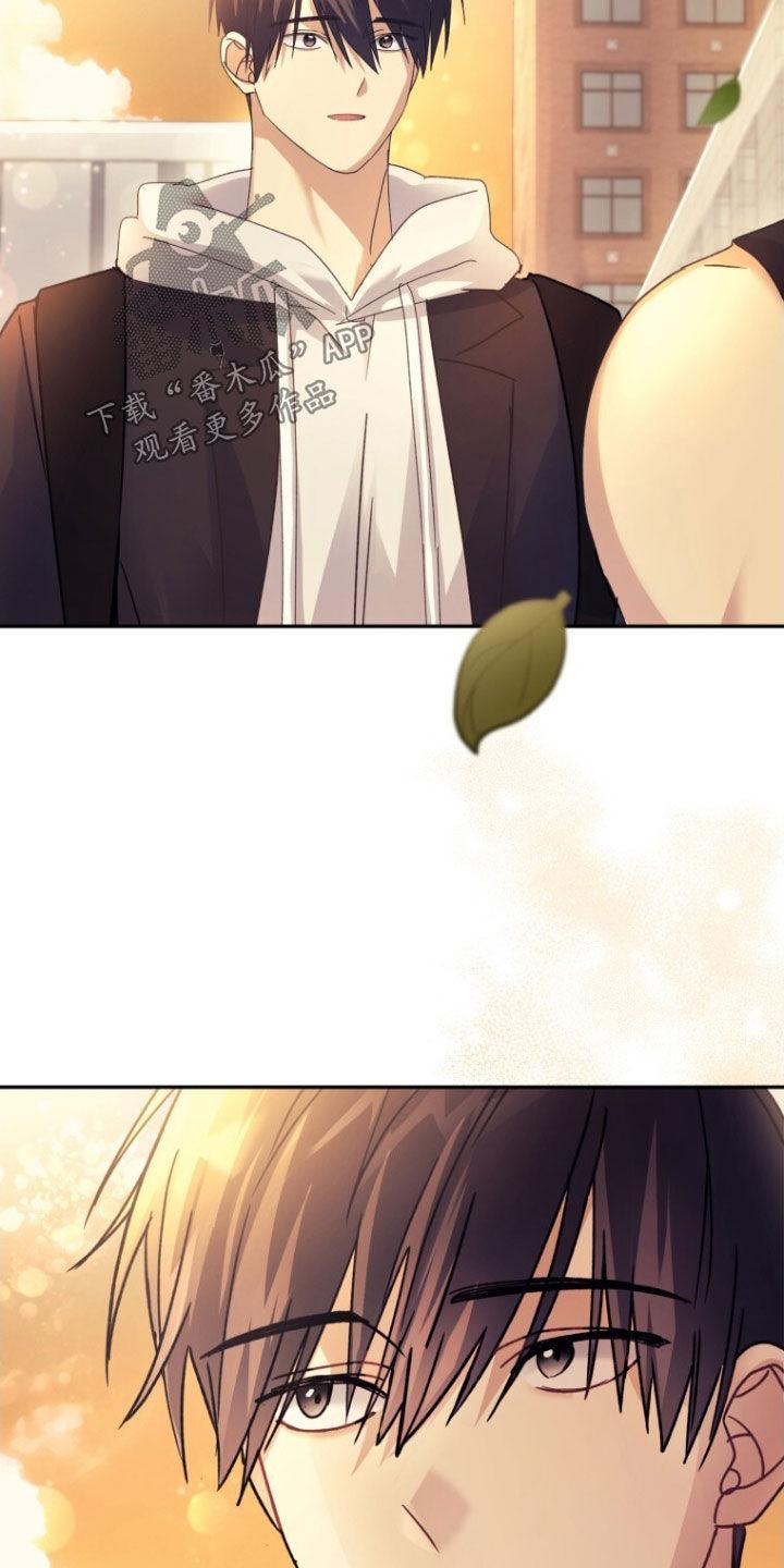 《追逐繁星》第77章：【第二季】熟悉的梦 第16页