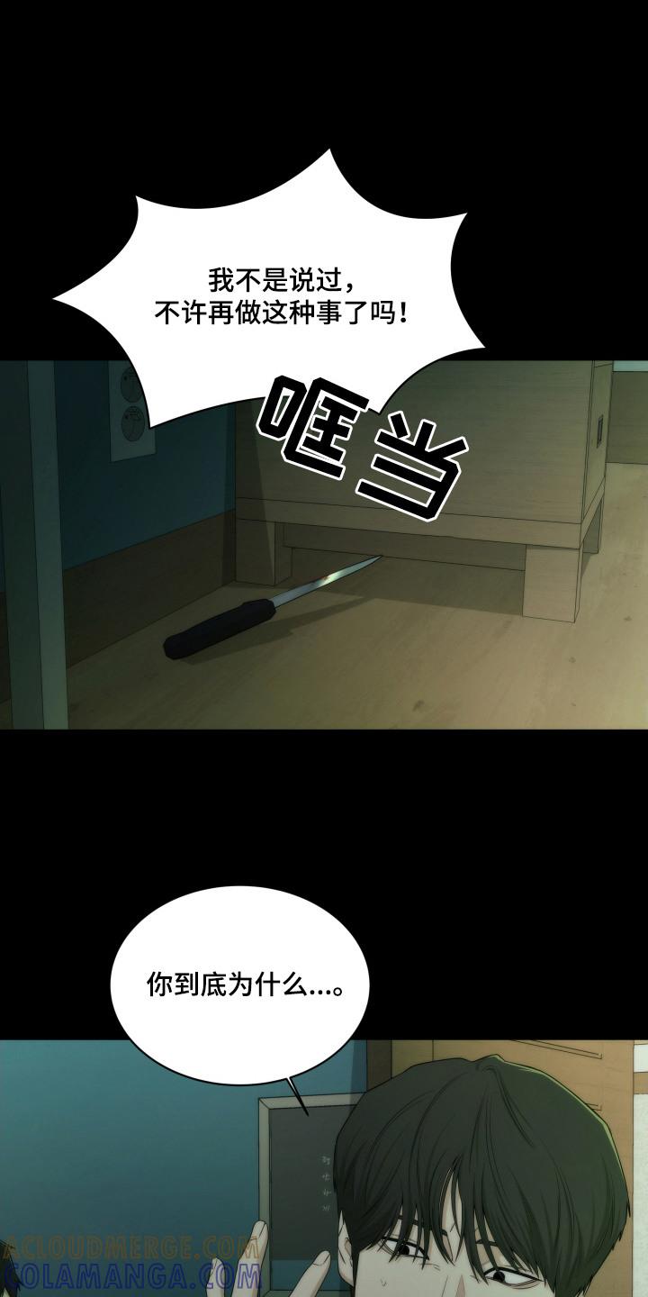 《致命诱饵》第8章：证据断了 第3页