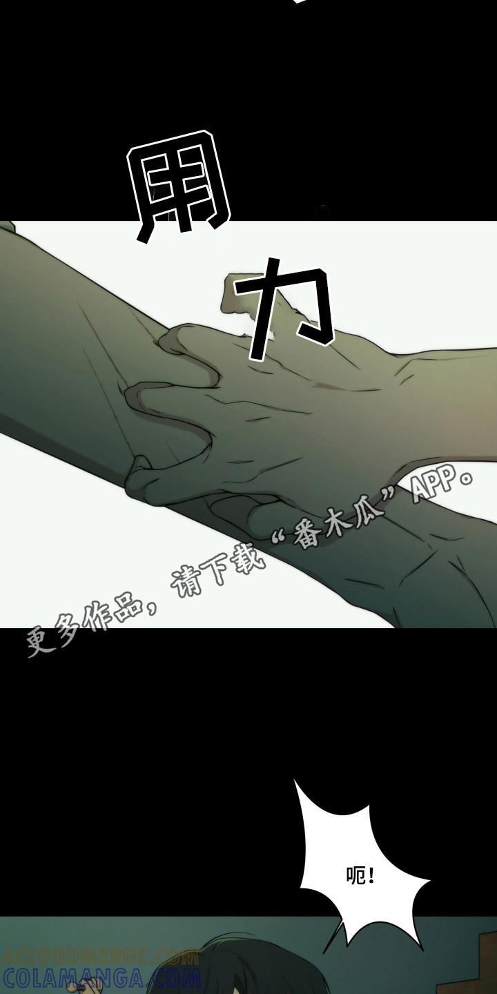 《致命诱饵》第8章：证据断了 第5页