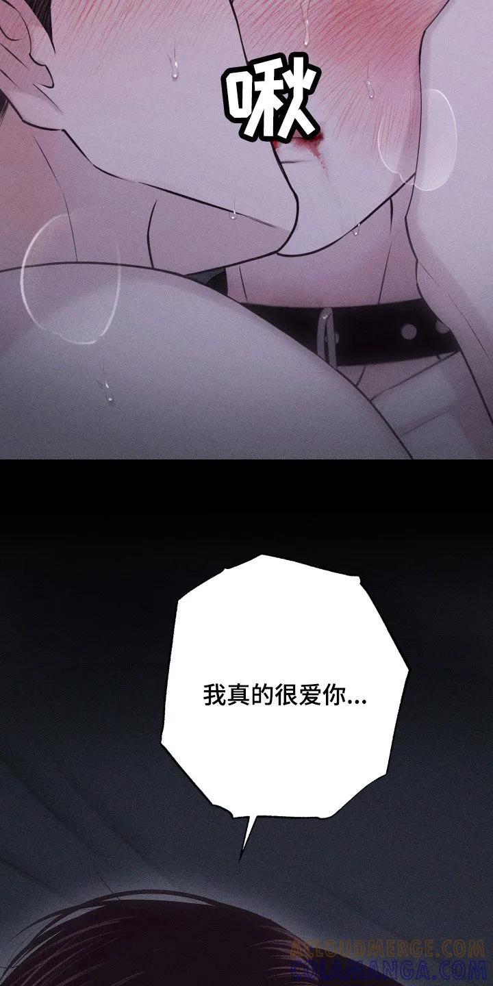 《瓷器》第100章：【第二季】很幸福 第13页
