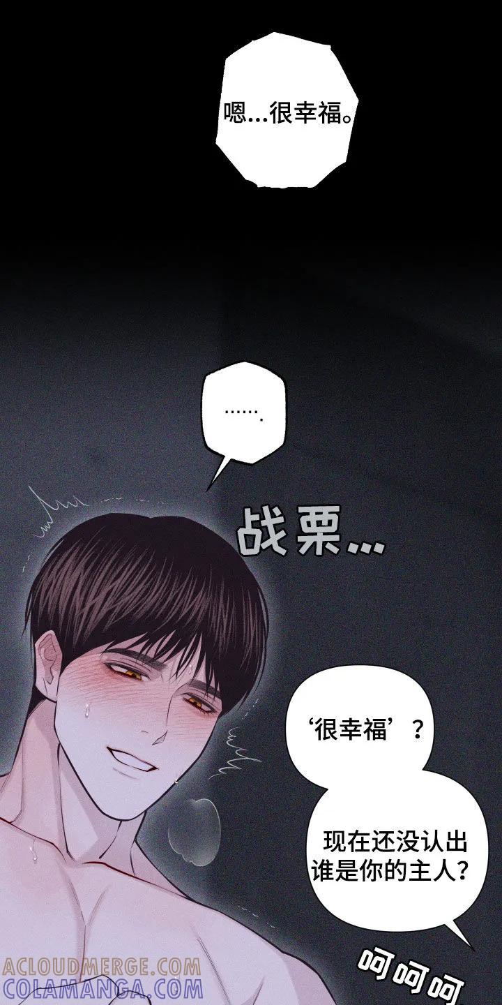 《瓷器》第100章：【第二季】很幸福 第25页