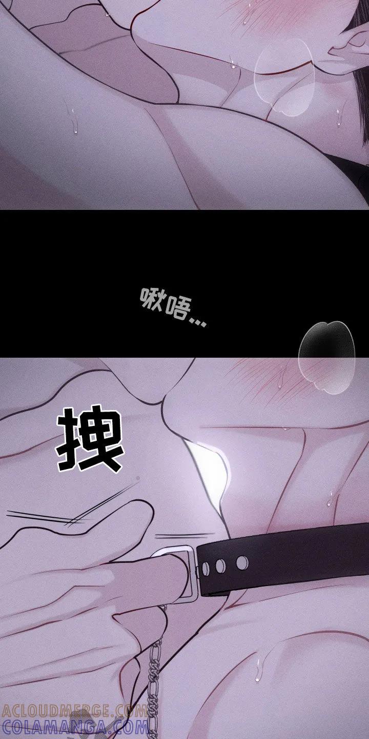 《瓷器》第100章：【第二季】很幸福 第19页