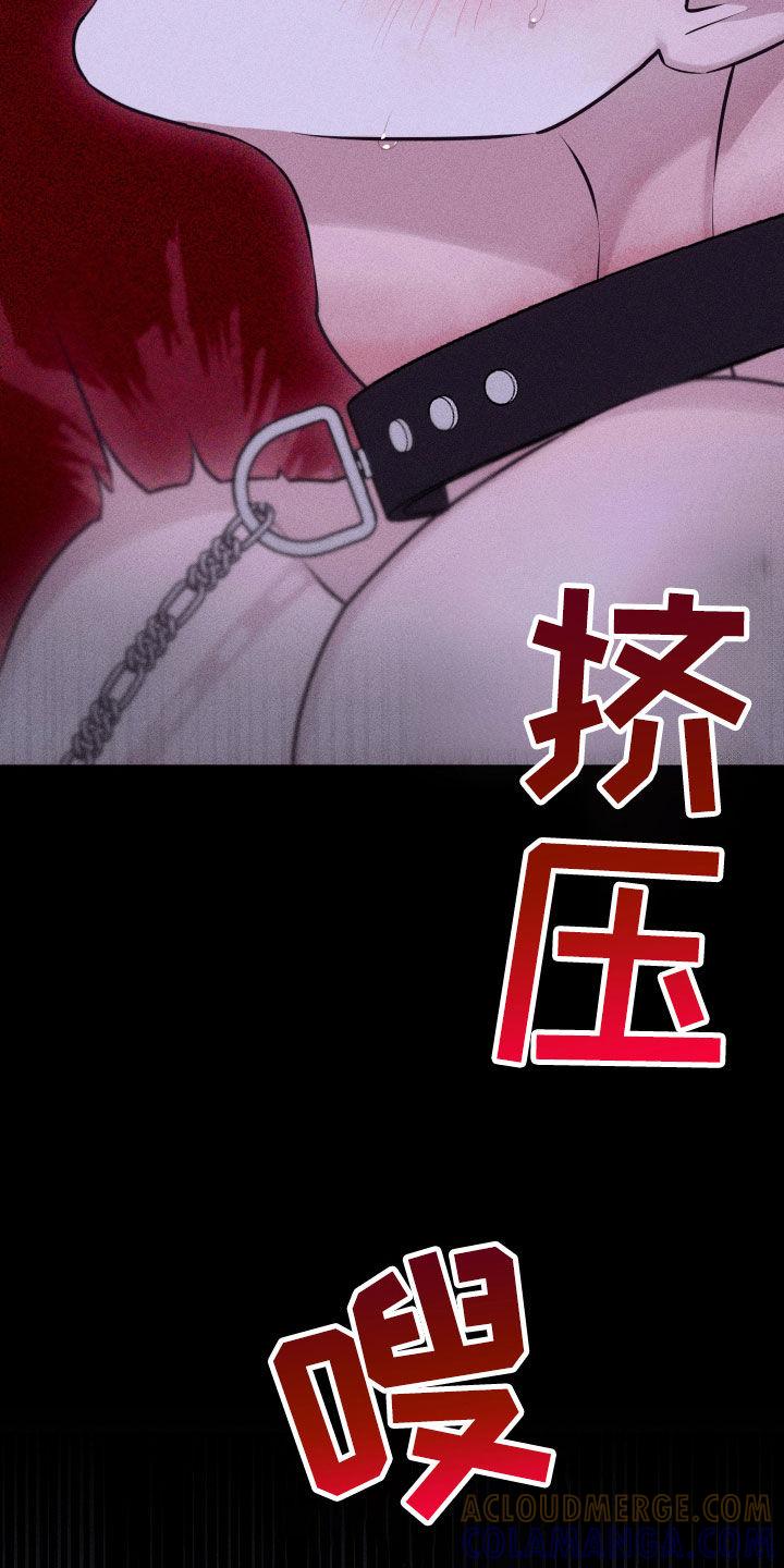 《瓷器》第101章：【第二季】我害怕 第13页