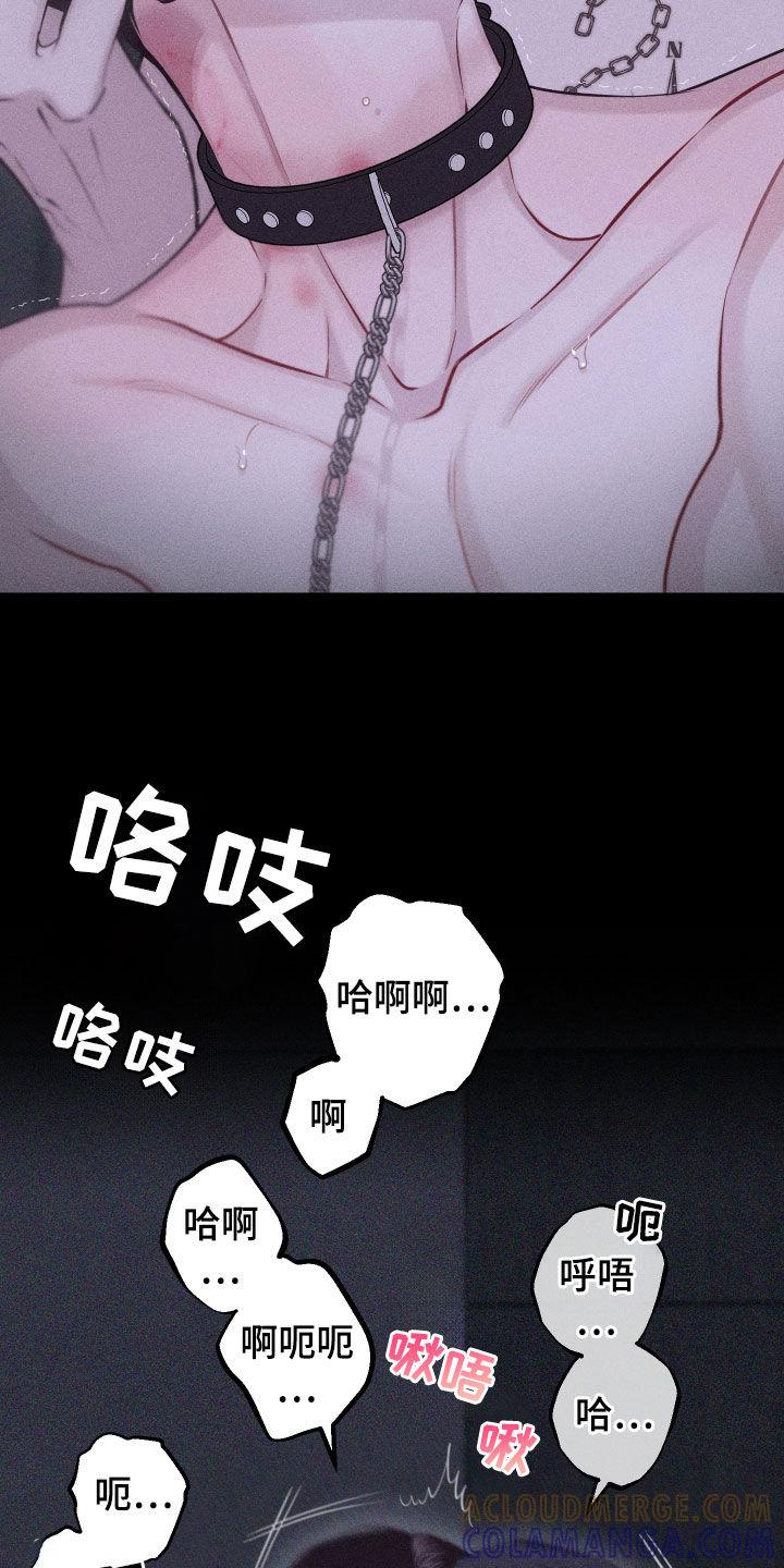 《瓷器》第101章：【第二季】我害怕 第19页