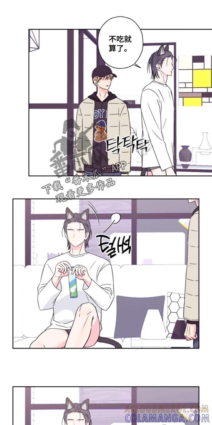 《倒霉经纪人》第102章：【第二季】有话要说？ 第13页