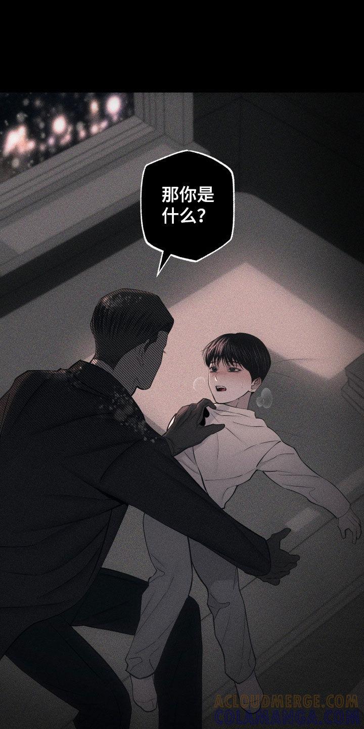 《瓷器》第103章：【第二季】质问 第27页