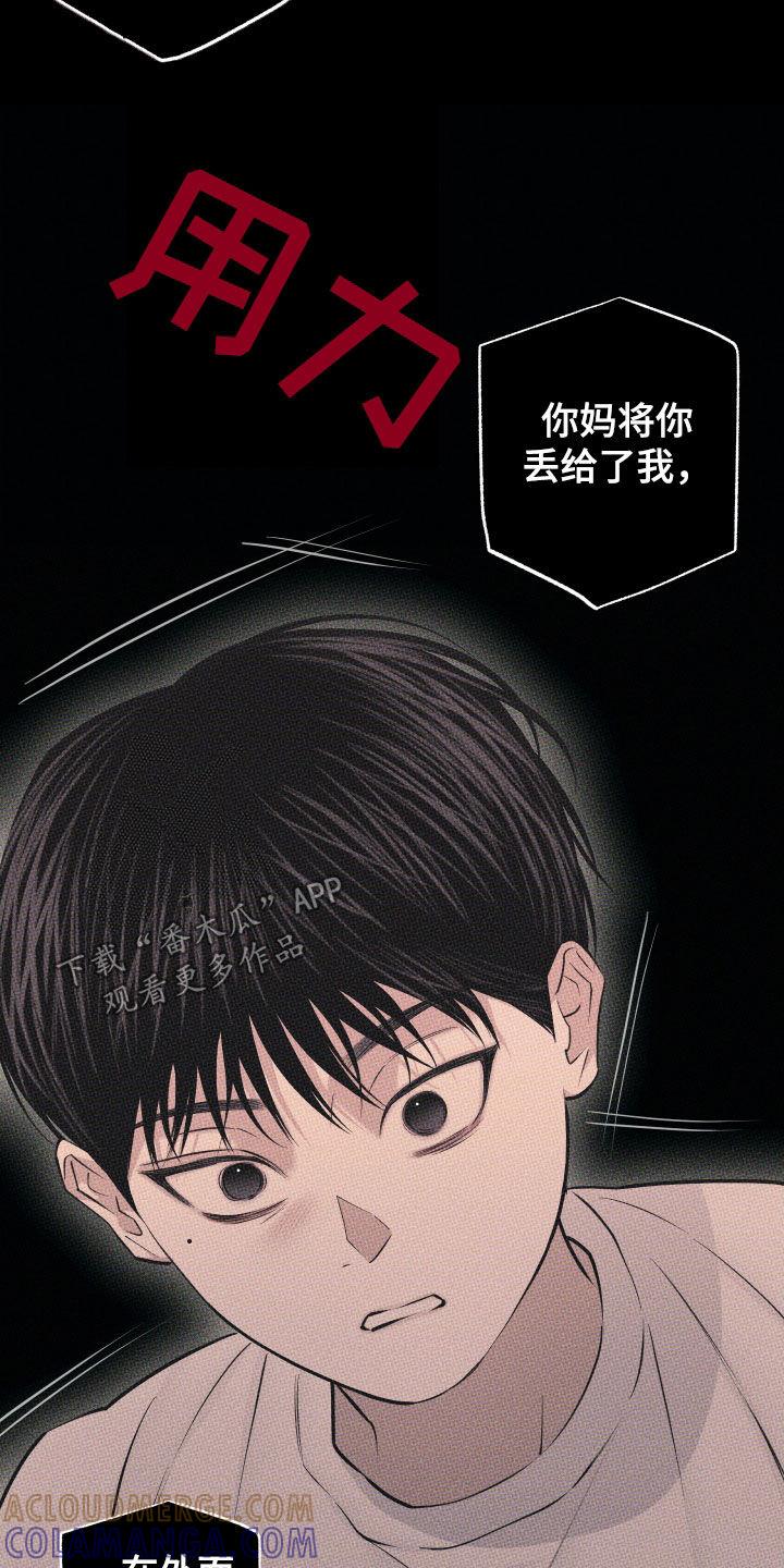 《瓷器》第103章：【第二季】质问 第15页