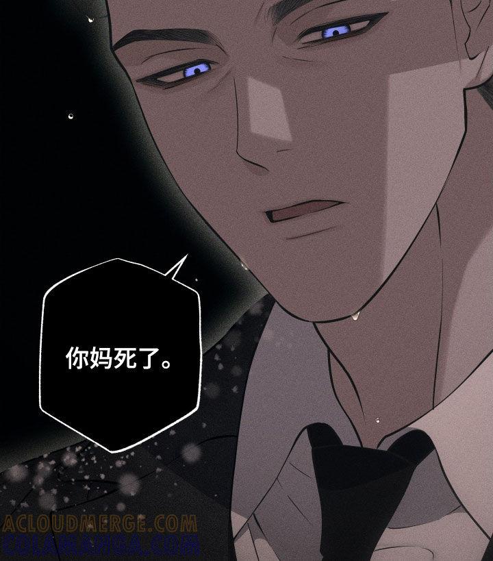 《瓷器》第103章：【第二季】质问 第13页