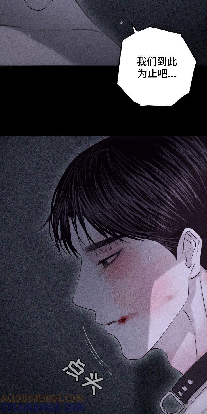 《瓷器》第104章：【第二季完结】没爱过你 第27页