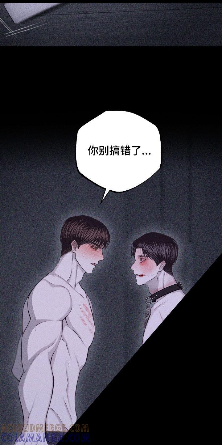 《瓷器》第104章：【第二季完结】没爱过你 第23页