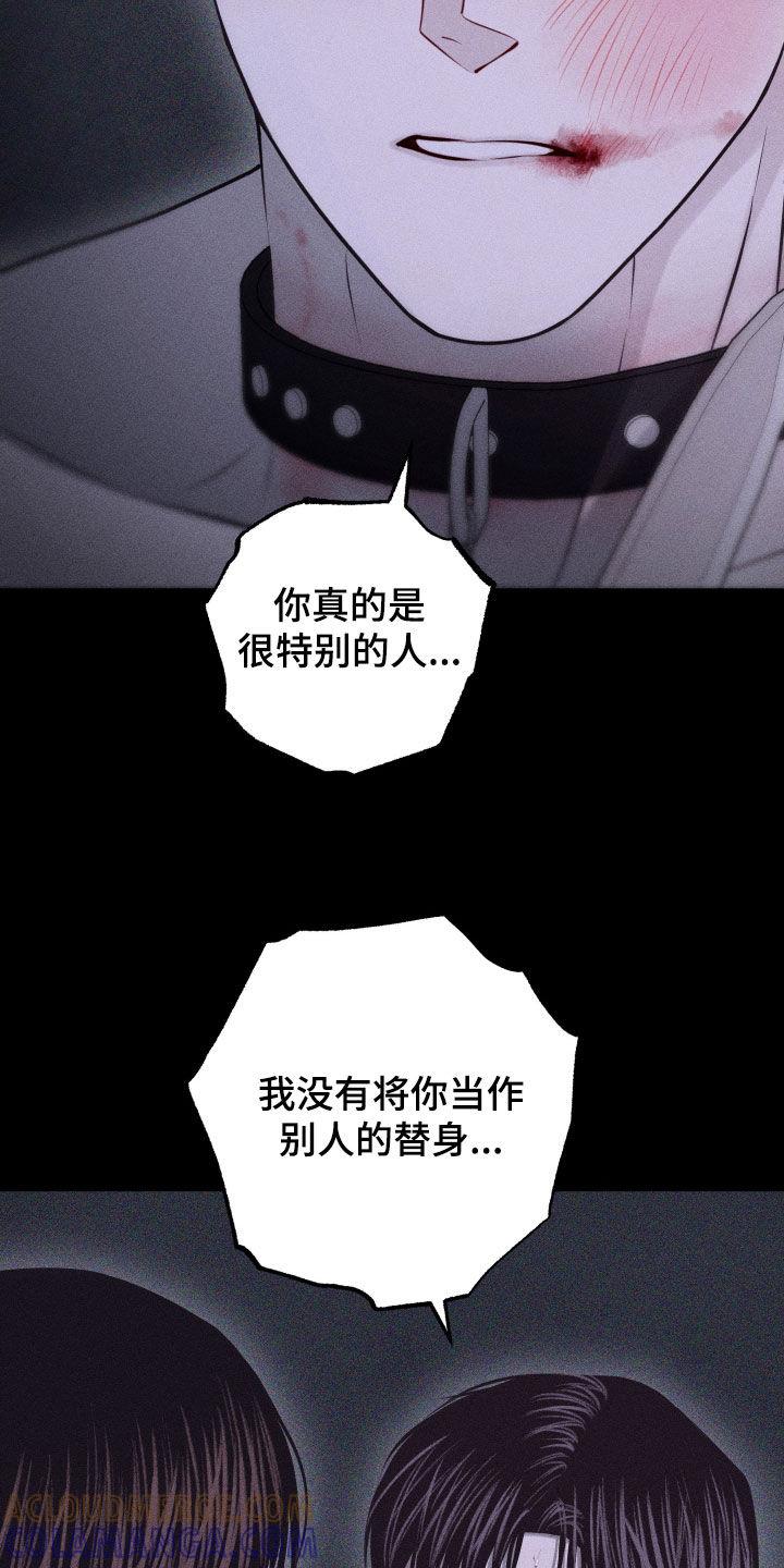 《瓷器》第104章：【第二季完结】没爱过你 第9页