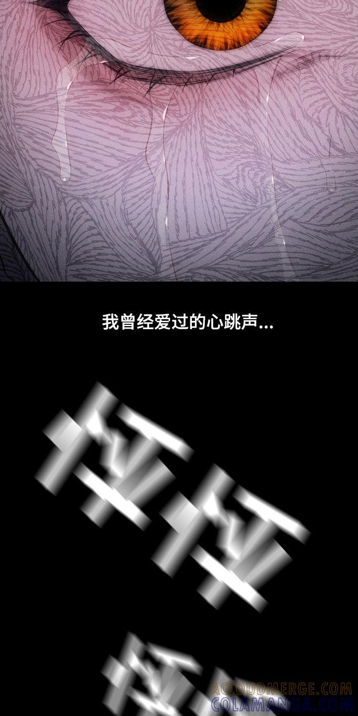 《瓷器》第104章：【第二季完结】没爱过你 第21页