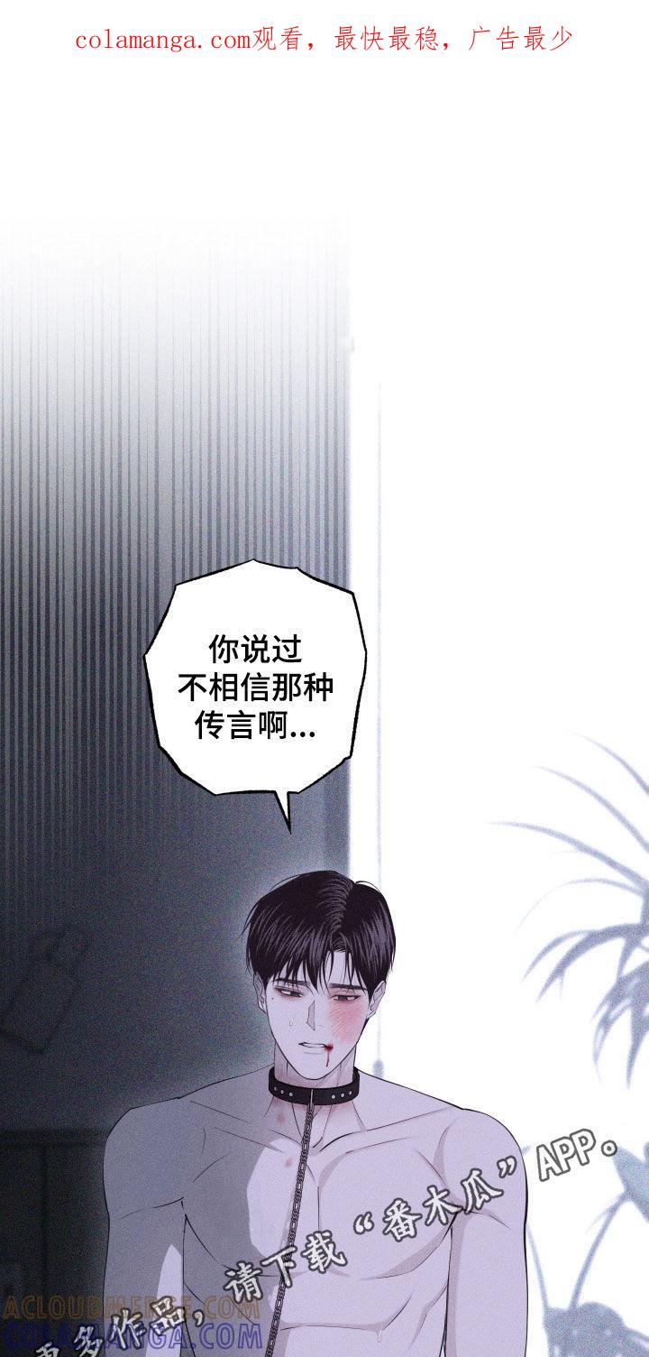 《瓷器》第104章：【第二季完结】没爱过你 第1页