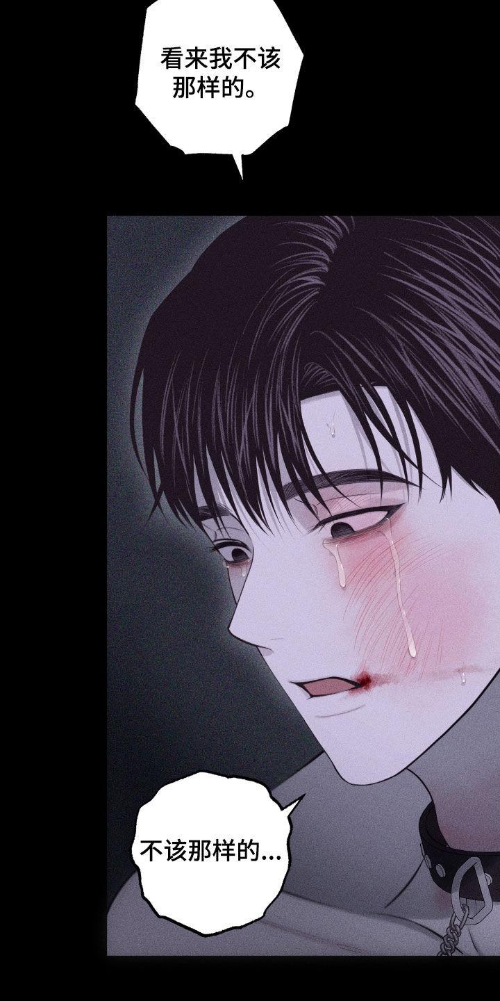 《瓷器》第104章：【第二季完结】没爱过你 第12页