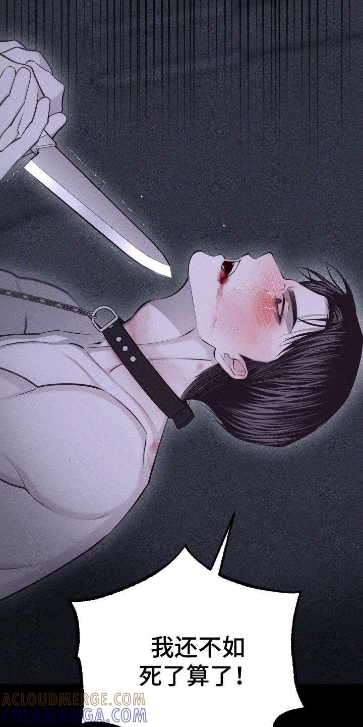 《瓷器》第104章：【第二季完结】没爱过你 第15页