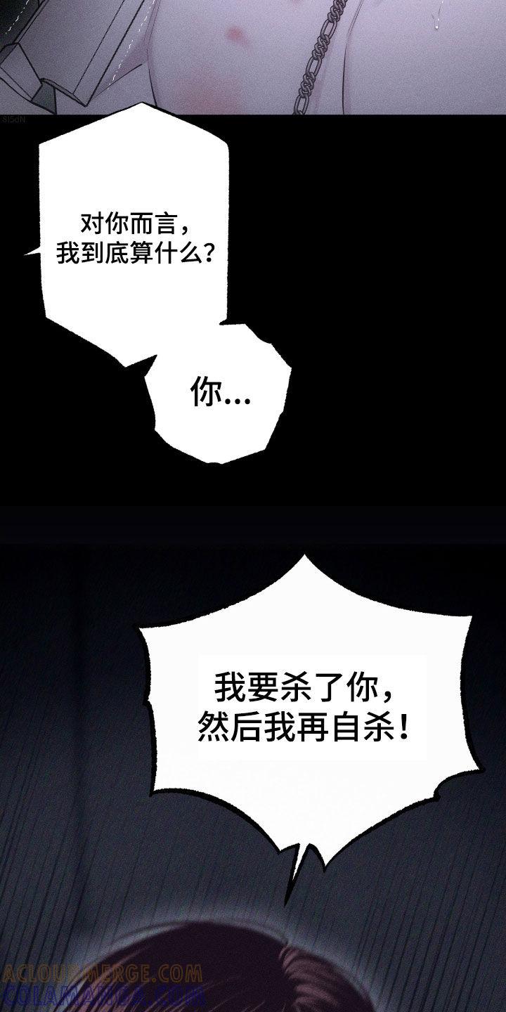 《瓷器》第104章：【第二季完结】没爱过你 第5页