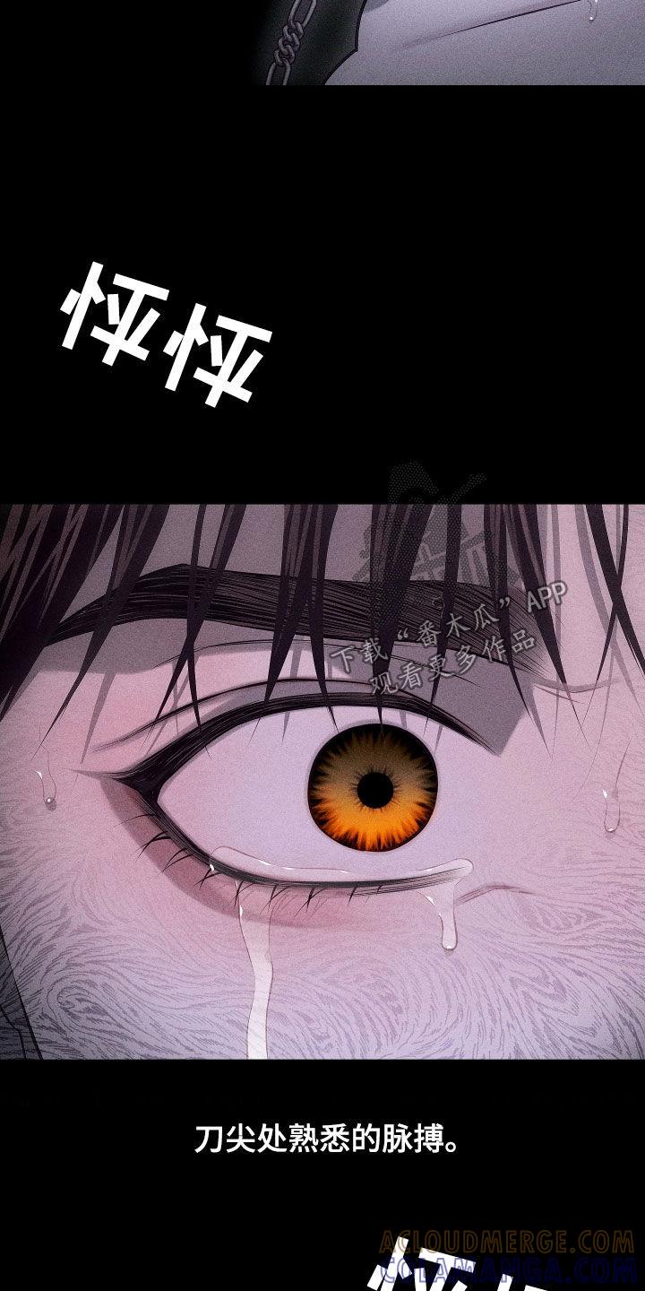 《瓷器》第104章：【第二季完结】没爱过你 第17页