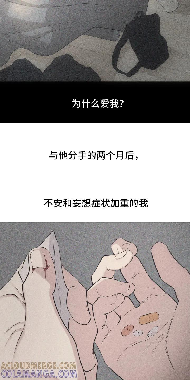 《瓷器》第105章：【第三季】幻想中 第11页