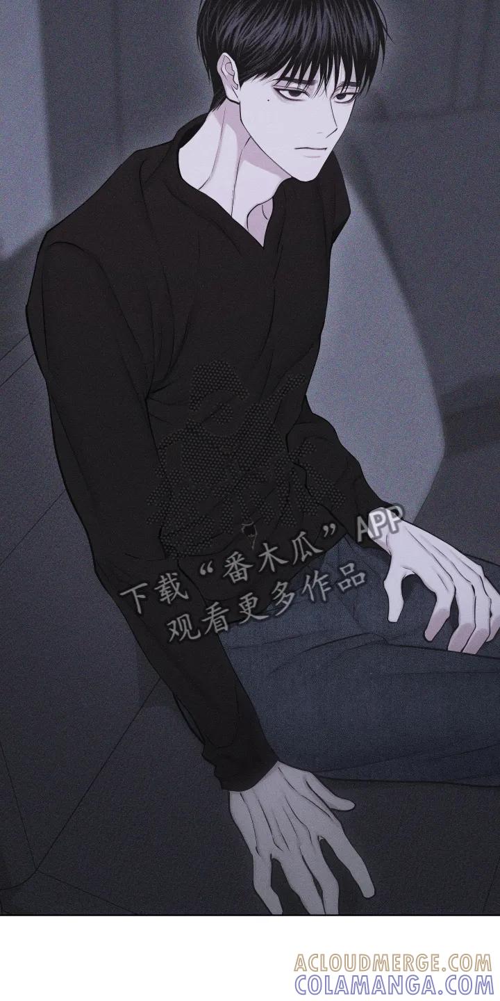 《瓷器》第107章：【第三季】行动 第13页