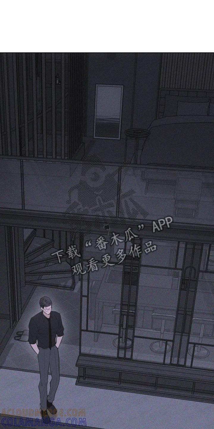 《瓷器》第107章：【第三季】行动 第11页