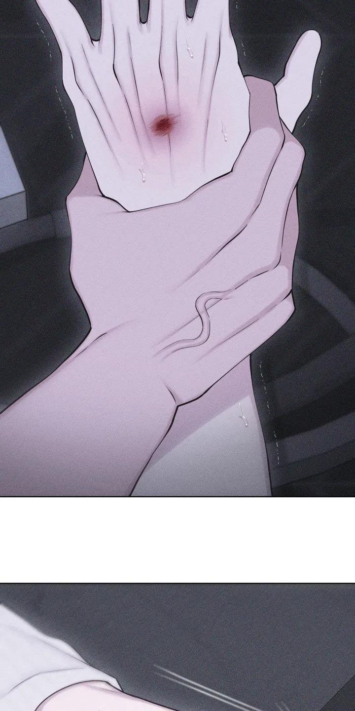《瓷器》第113章：【第三季】写信 第22页