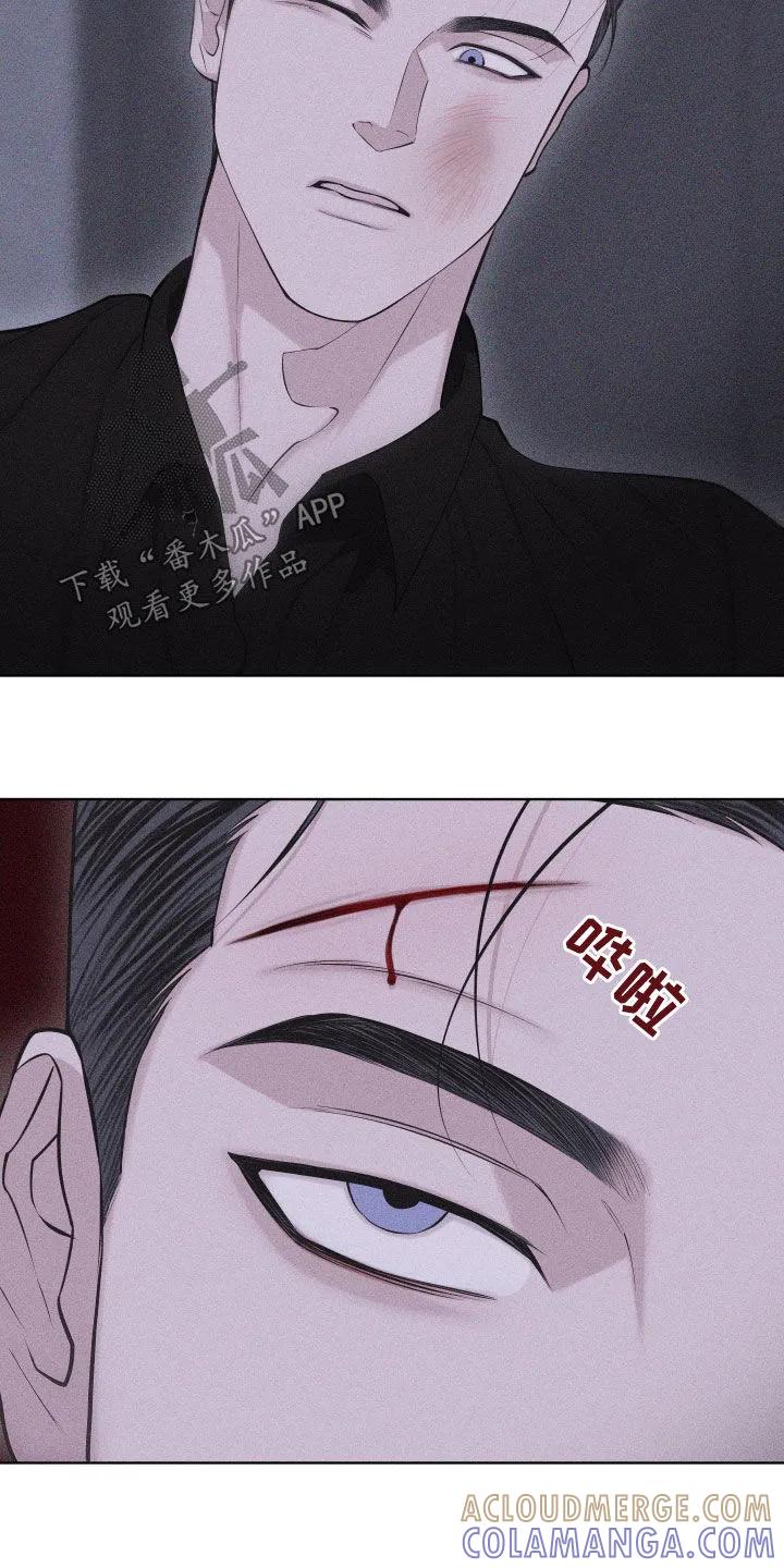 《瓷器》第116章：【第三季】不是爱 第11页