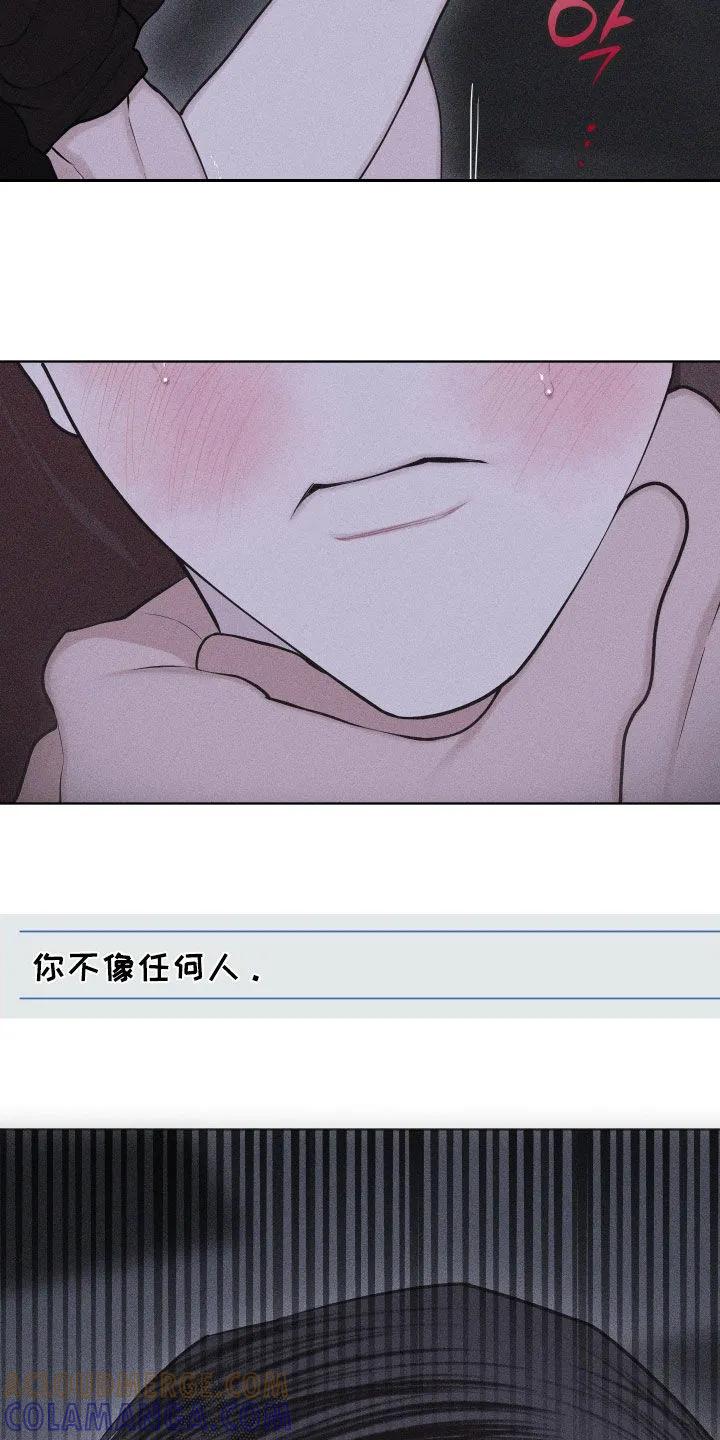 《瓷器》第119章：【第三季】快说你爱我 第25页